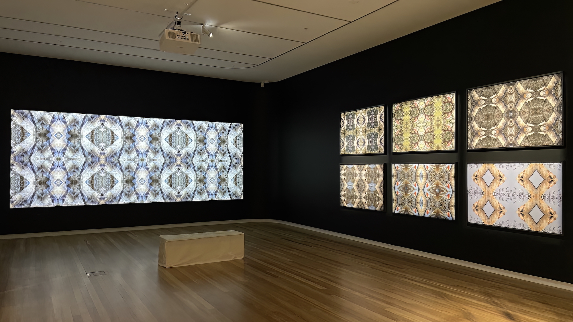 A dark room with lightbox artworks and a video projection featuring kaleidoscopic abstract designs