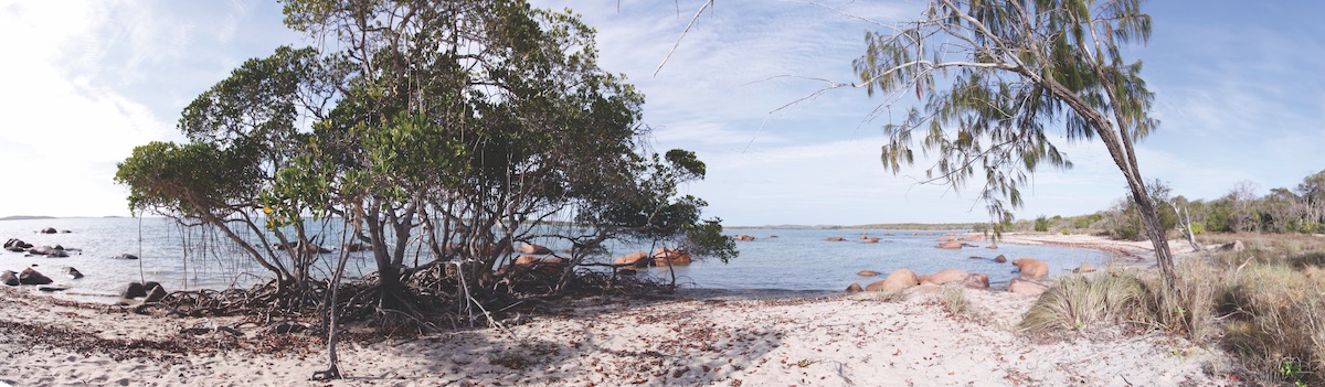 Panoramic beachfront view with shrubs and two low-hanging trees and boulders scattered in the water.
